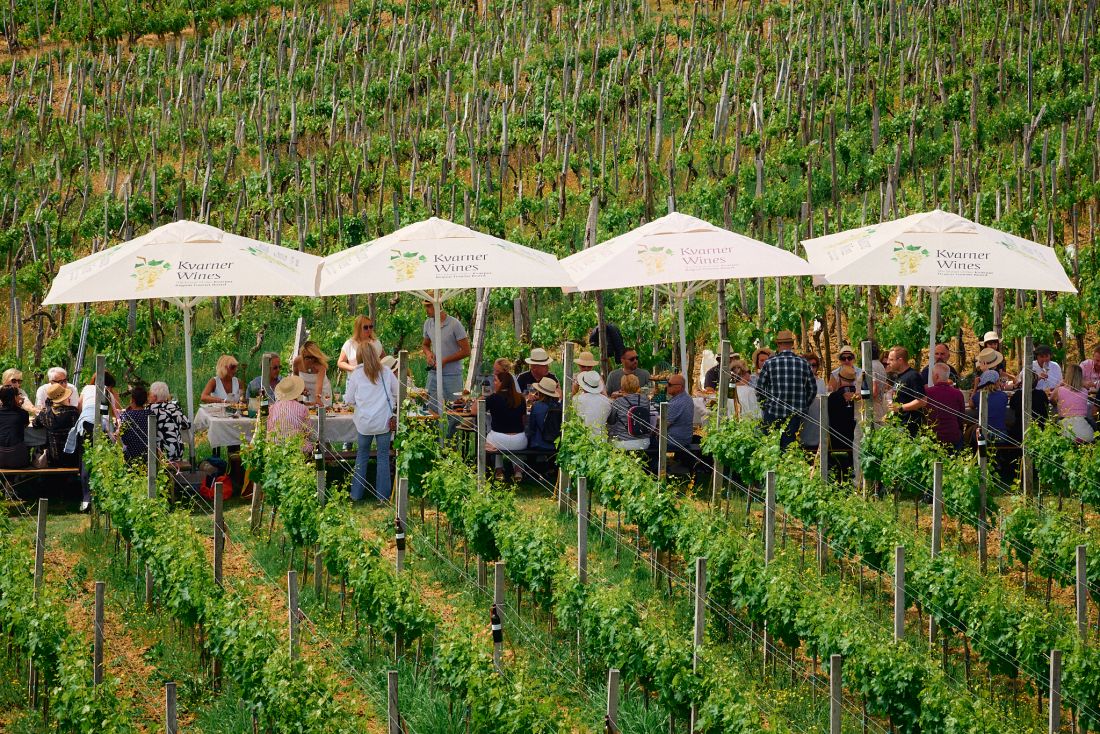 dorucak u vinogradu katunar vina