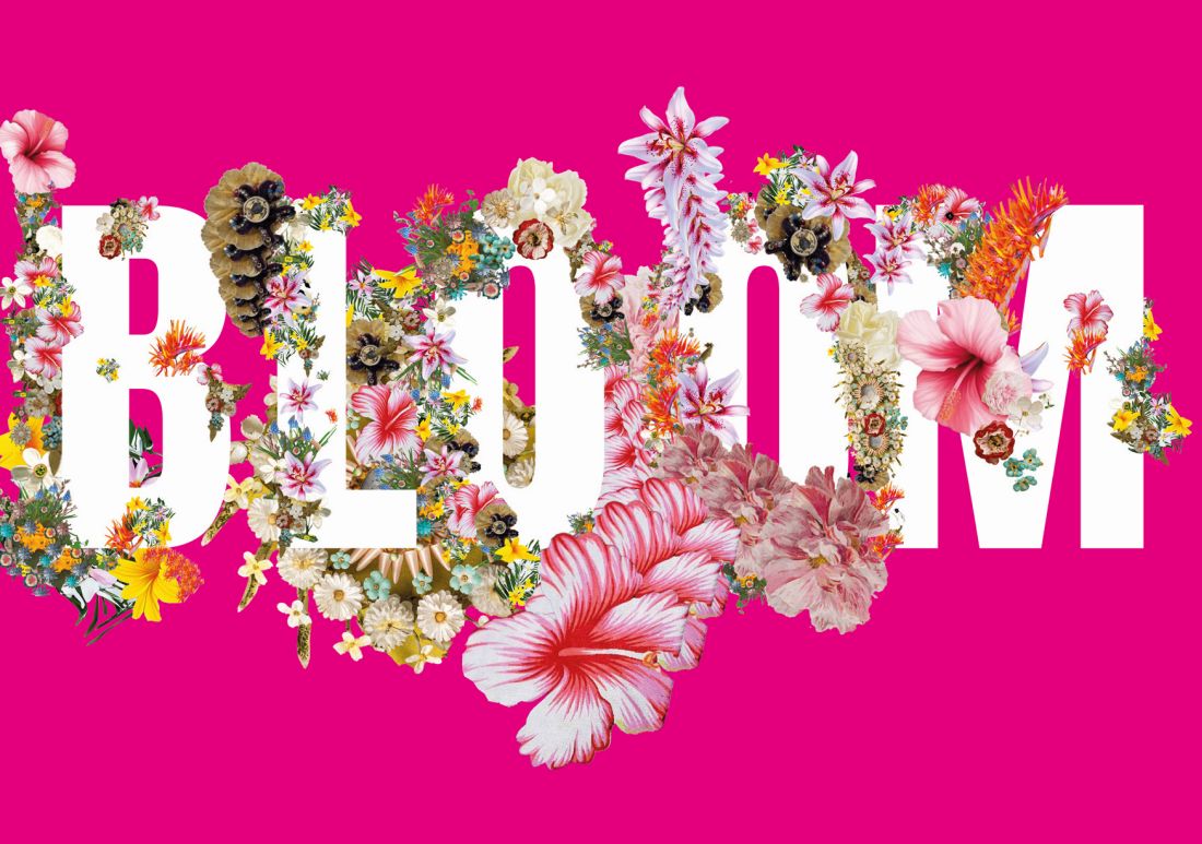 graz austrija festival Bloom