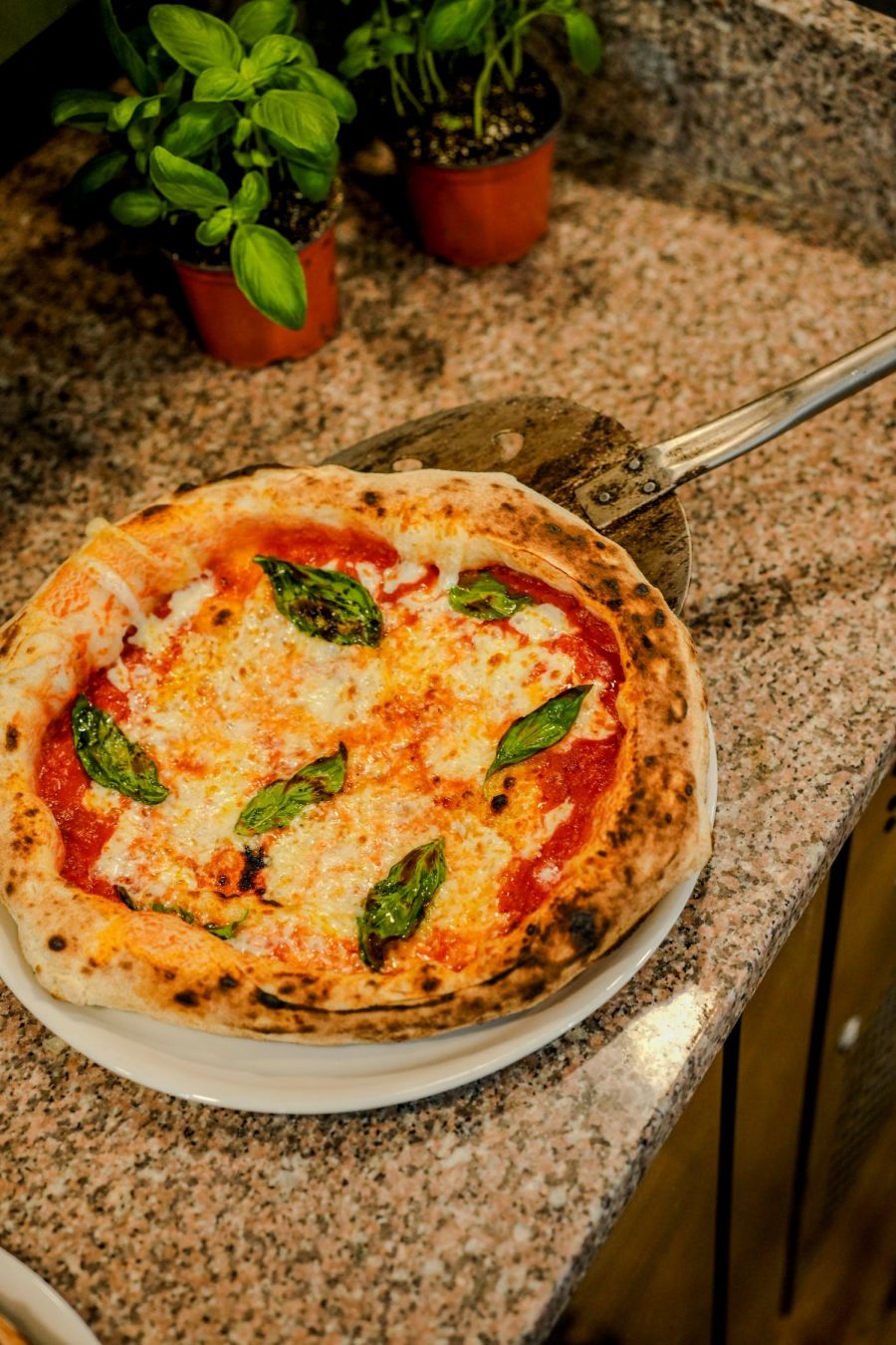 zagreb pizza z centar CIAO! PIZZA  PASTA