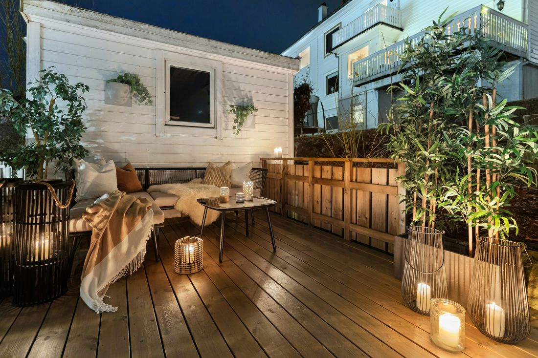 autohtono cvijece biljke sadnice za vrt terasu balkon