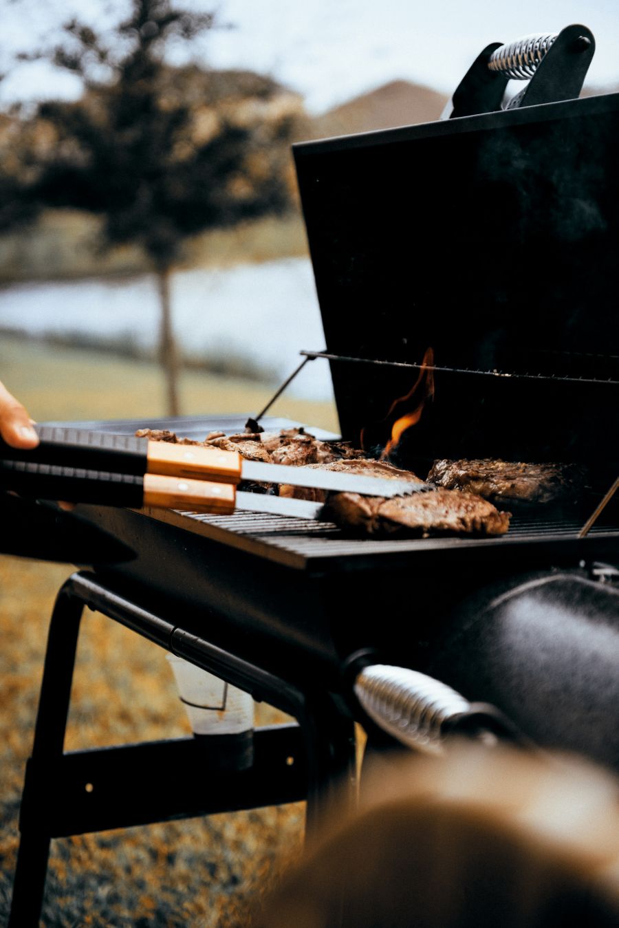 sve vrste rostilja za BBQ