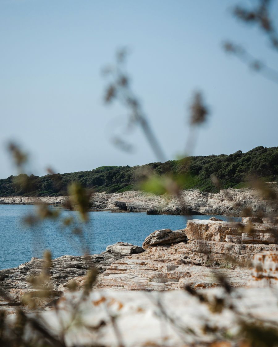 Brijuni Brijunsko otocje istra Hrvatska