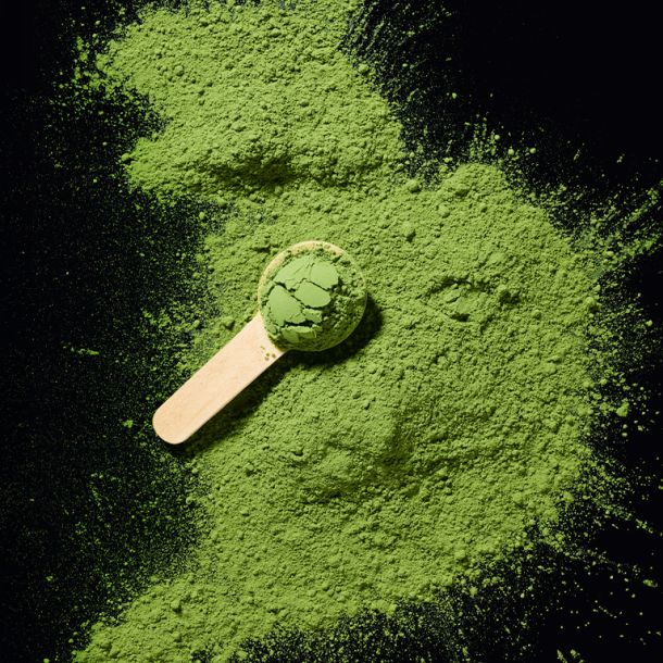 matcha-hojicha-1