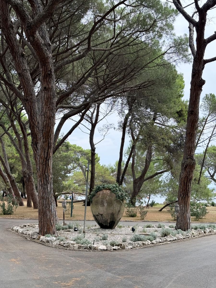 monumentalna vaza za vino kiparsko djlo brijuni nacionalni park hrvatslka