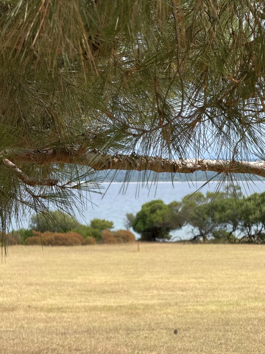 otok brijuni razgled vlakicem