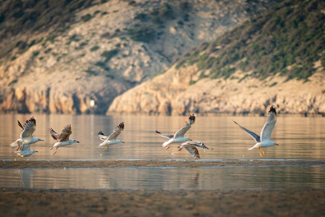 otok rab lopar geo park hrvatska