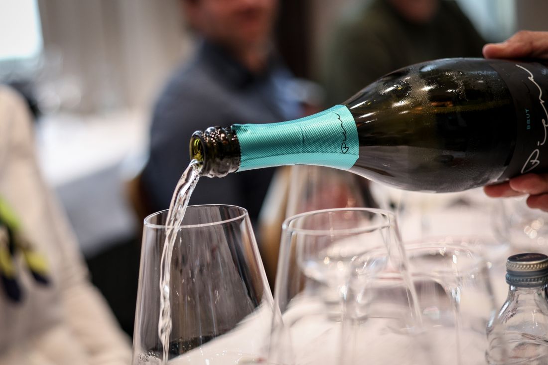 dani-plesivice-vino-1