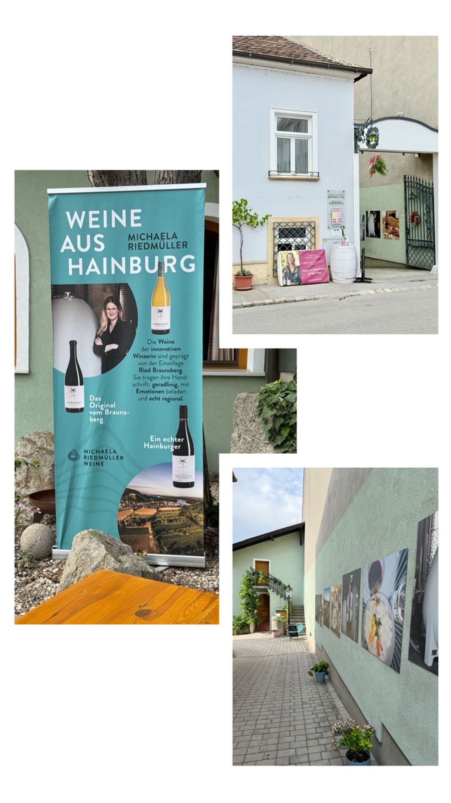 vinarija biodinamicka organska vina Heuriger Michaela Riedmüllerhaidenburg austria
